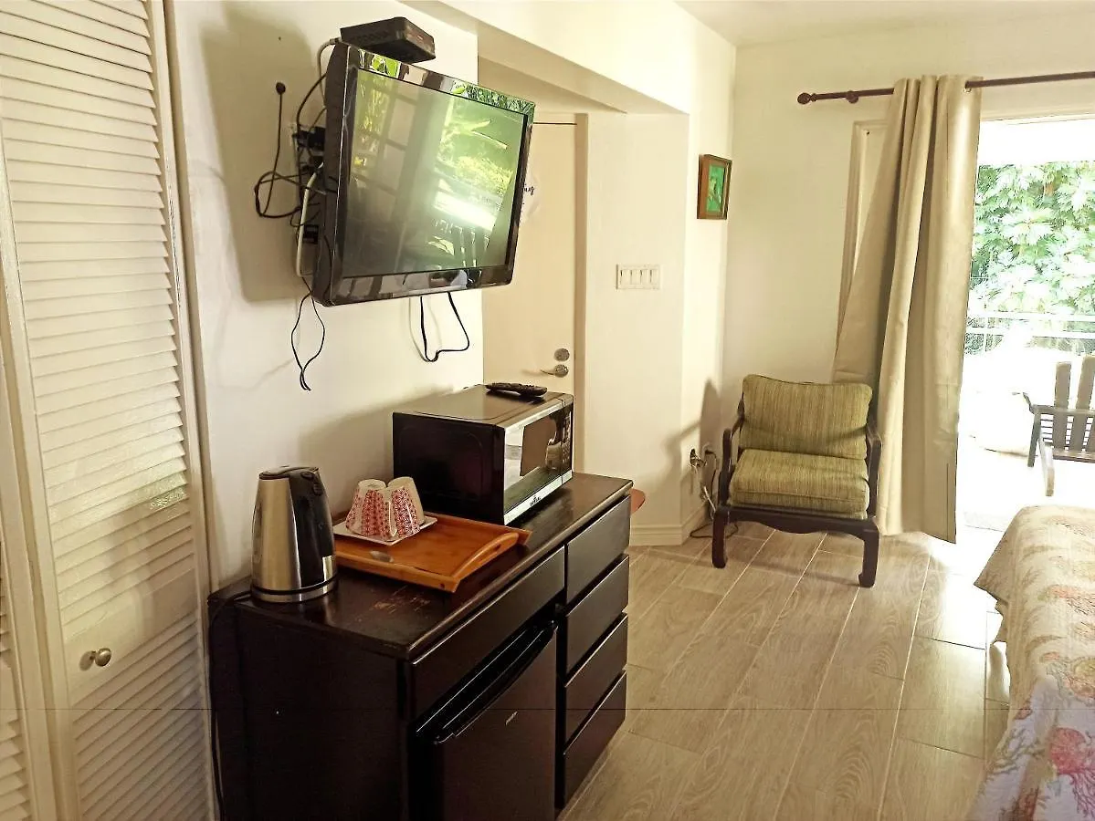 Mystic Ridge Apt 2 Plus 6 Ocho Rios